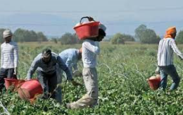 Al via l’indagine nazionale ANCI-Ministero del Lavoro su disagio abitativo e lavoro agroalimentare